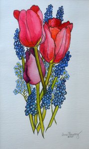 Tulpen, Muscari und Vergissmeinnicht von Joan Thewsey