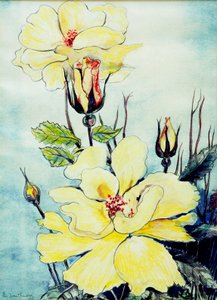 Gelbe Rose in einer Suffolk-Brise, 2005