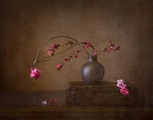 Kirschblüten Stillleben