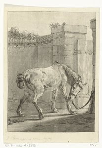 Ein Pferd an einen Pfahl gebunden