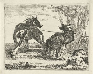 Zwei Hunde Hunde (Serientitel) von Joannes Fijt