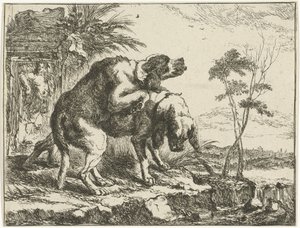 Zwei paarende Hunde