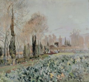 Landschaft