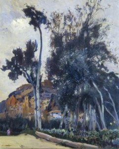 Miravet von Joaquim Mir i Trinxet