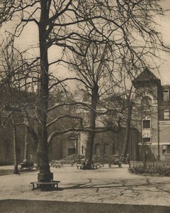 Unter den Ulmen im Hof des Middlesex Hospital, um 1935 von Joel