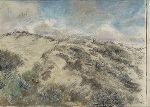 Dünenlandschaft