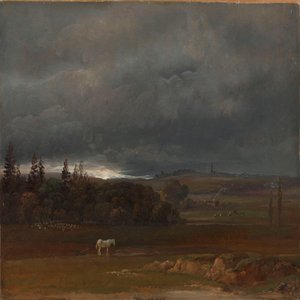 Acker bei Dresden mit weißem Pferd