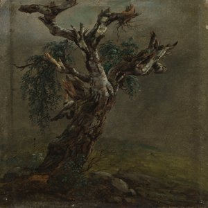  von Johan Christian Dahl