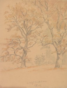 Zwei Eichen mit Herbstlaub von Johan Christian Dahl