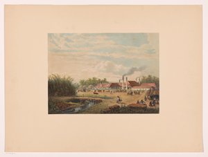 Pangka-Fabrik bei Tegal in Zentral-Java von Johan Conrad Greive