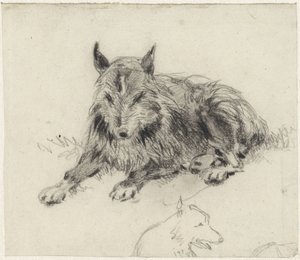 Liegender Schäferhund