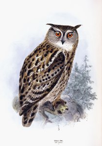Uhu