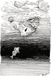 Fisch unter Plastik von Johan Liewendahl