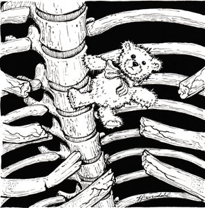 Skelettierter Teddybär von Johan Liewendahl
