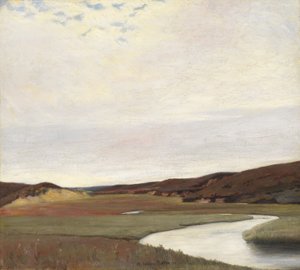 Ein Sommertag am Fluss Karup, Jütland