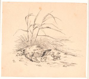 Die getötete Wildente. Illustration zu Kaalunds "Fabler for Børn". von Johan Thomas Lundbye