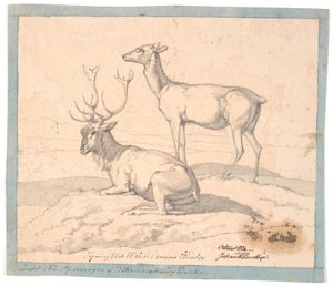 Ein liegender Hirsch und eine stehende Hirschkuh von Johan Thomas Lundbye
