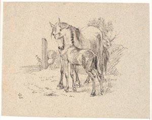 Das Pferd und das Fohlen