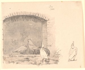 Die Hühner und die Enten. Rechts: Studie einer Ente, die den Regen genießt