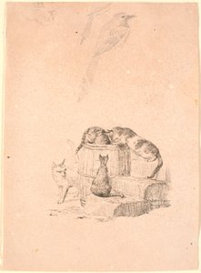 Die Katzen. Oben Bleistiftstudie eines Katzenkopfes und zwei Elstern von Johan Thomas Lundbye