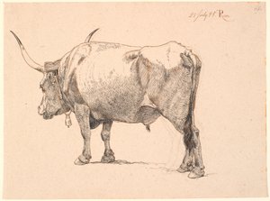 Römischer Stier mit Glocke um den Hals, schräg von hinten gesehen von Johan Thomas Lundbye