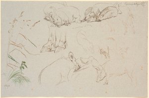 Studienblatt aus Vognserup. Verschiedene Studien von Schweinen. Eine Studie von Pferdehufen. Eine Studie von einem Hundekopf und eine Studie von Gras