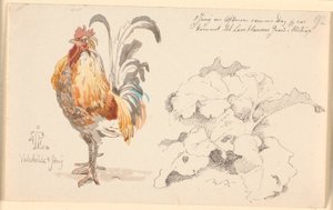 Studienblatt mit einem Hahn und einer Ampferpflanze von Johan Thomas Lundbye