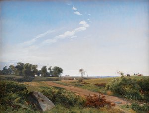 Seeländische Landschaft. Offenes Land in Nordseeland