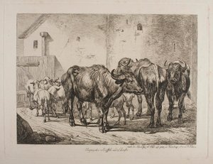 Ungarische Büffel und Schafe von Johann Adam Klein