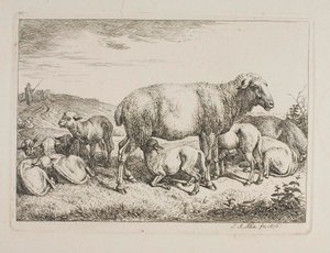 Schafe mit Lämmern von Johann Adam Klein