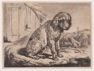  von Johann Adam Klein