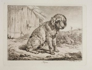  von Johann Adam Klein