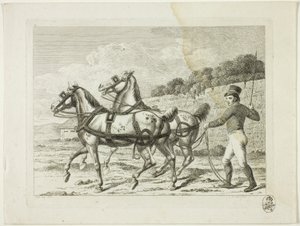 Reitschule und Pferde von Johann Adolph Darnstedt