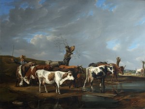 Kuhherde