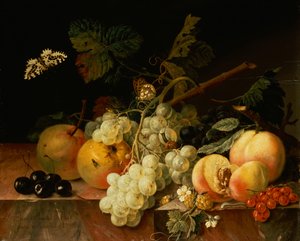 Früchte auf einer Marmorkante mit Schmetterlingen, Schnecke und Raupe von Johann Amandus Wink
