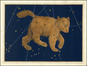 Ursa Major von Johann Bayer