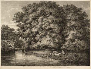 Ein Bauer treibt sein Vieh ins Wasser von Johann Christian Reinhart