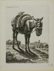 Fütternder Maultier - Vorderansicht, aus Die Zweite Thierfolge von Johann Christian Reinhart