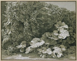 Große Blattpflanzen an efeuumrankter Felsgrotte von Johann Christian Reinhart