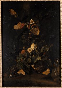 Blumen mit Schmetterlingen und Kröte