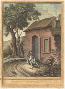 Die alte Katze und die junge Maus