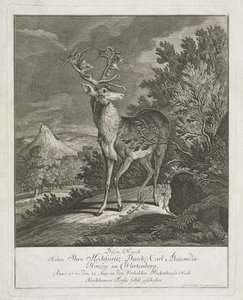 Ein prächtiger Hirsch in einer Landschaft von Johann Elias Ridinger
