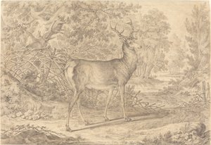 Ein prächtiger junger Hirsch vor einem Flechtzaun von Johann Elias Ridinger