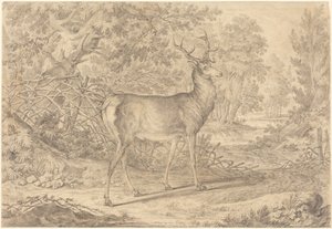 Ein prächtiger junger Hirsch vor einem Flechtzaun von Johann Elias Ridinger