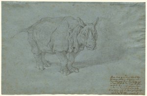 Das Nashorn "Miss Clara"