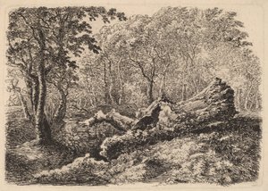 Verfallener Baumstamm, 1794 von Johann Georg von Dillis