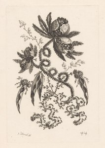 Blumen mit Beeren von Johann Heinrich  Hess
