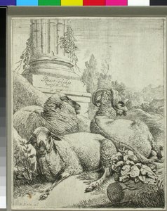 Schafe am Fuße einer Säule von Johann Heinrich Roos
