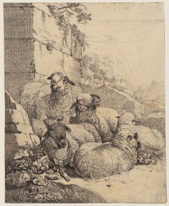 Vier liegende und ein stehendes Schaf vor Mauer, Blatt der Folge "Schafe und Ziegen" von Johann Heinrich Roos