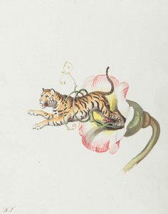 Tiger springt aus einer Blumenkronen. Allegorie auf Blumensamen, 1817 von Johann Heinrich Wilhelm Tischbein